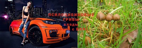 ALPHA PVP Бородино