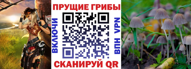 Купить  Магас  Галлюциногенные грибы Magic Shrooms 